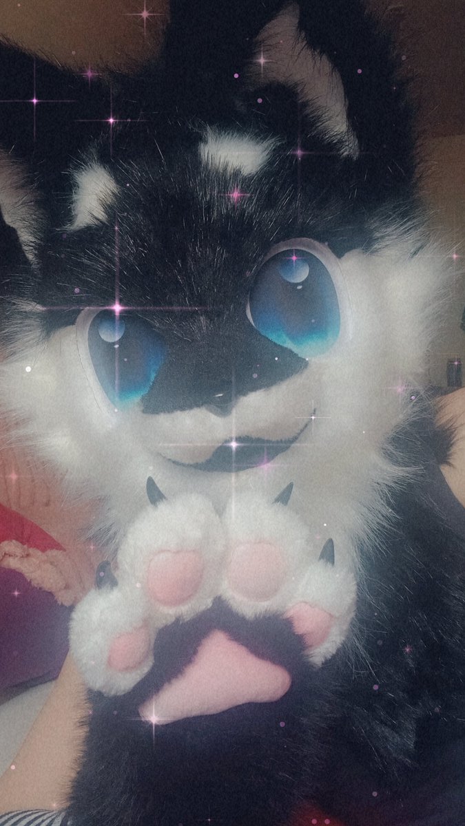 Cat_nium's tweet photo. Psst , hey ! Its me your spirit animal.
 Come over here for a second. 
I will tell you a secret. 

 I think your awesome. 
And.
 I believe in you. https://t.co/TnkQW4erc7