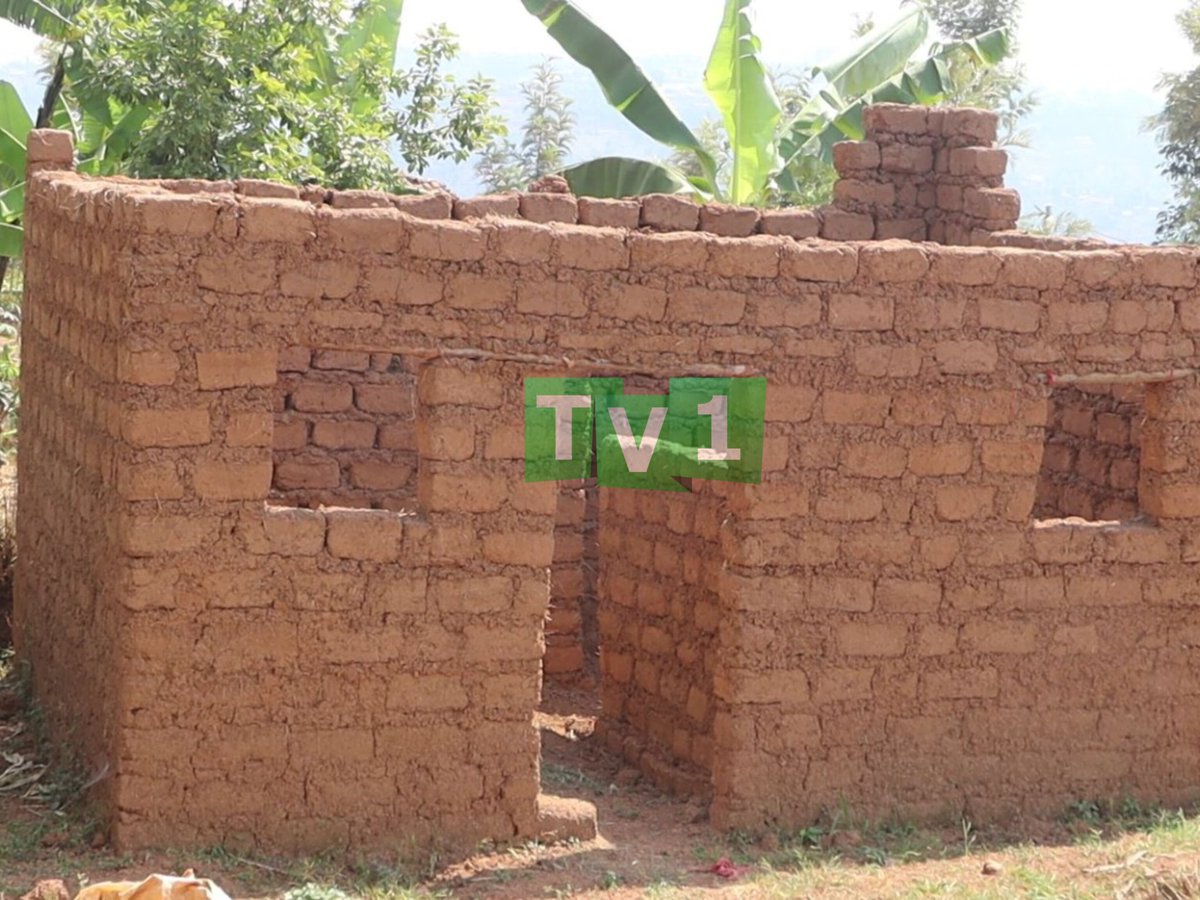 TV1Rwanda's tweet photo. Abaturage bo mu kagari ka Kamushenyi mu murenge wa Kisaro mu karere ka Rulindo, ntibumva impamvu umuturage yagerageje kwiyubakira inzu yahawe n'icyangombwa cyo kubaka, nyuma ubuyobozi bukayisambura, amabati ye agafungirwa mu kagari azizwa ko umugabo we yatutse umukuru w'umudugudu. 

Ubuyobozi bw'umurenge wa Kisaro bwabwiye TV na Radio One ko icyemezo cyafashwe n'ubuyobozi bw'akagari kidakwiye bityo ko uwo muturage agomba gusubizwa amabati ye kugira ngo akomeze kubaka  iyo nzu.@RIB_Rw