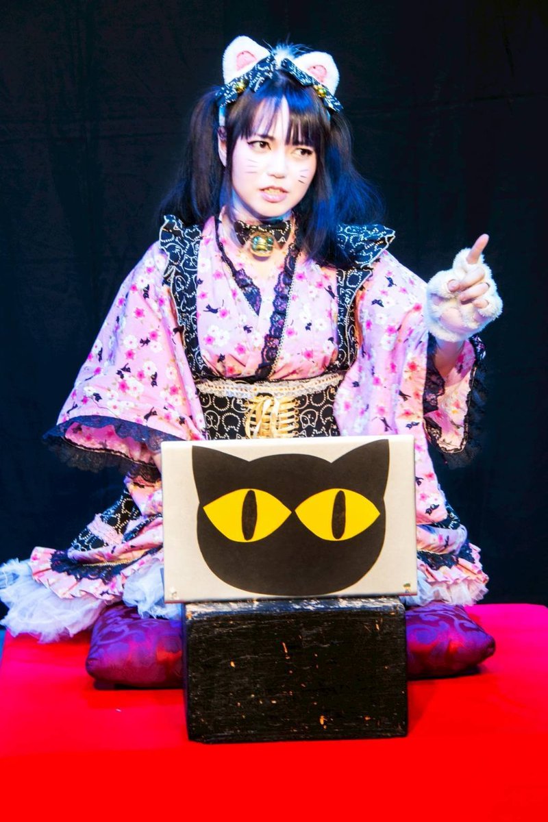 のんのん(´・ω・`)🌟🐈🐾 (@nodakatu) / Posts / X
