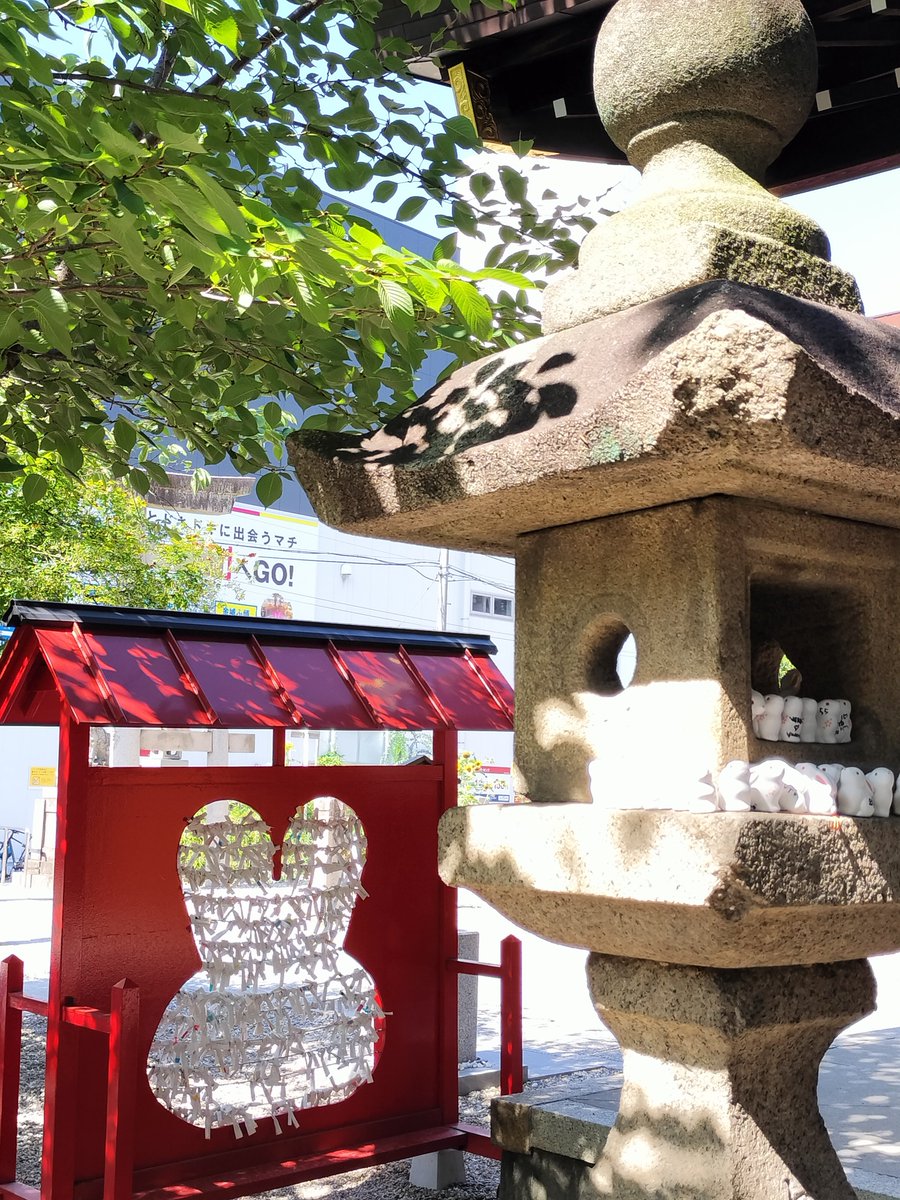 sconew1114's tweet photo. ぶらり名古屋旅🍤
モーニング食べに大須に行ったら、推し活の神社があった🐇

うさぎがいっぱいでかわいい🐰
チケットあたりますようにとお願いしてきました✨

#三輪神社 https://t.co/iJJW4m882I