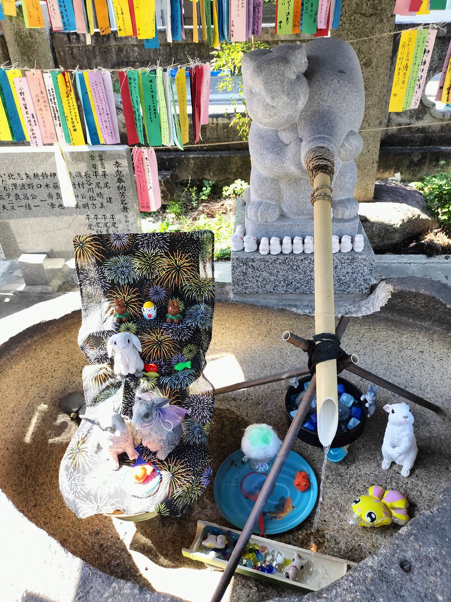 sconew1114's tweet photo. ぶらり名古屋旅🍤
モーニング食べに大須に行ったら、推し活の神社があった🐇

うさぎがいっぱいでかわいい🐰
チケットあたりますようにとお願いしてきました✨

#三輪神社 https://t.co/iJJW4m882I