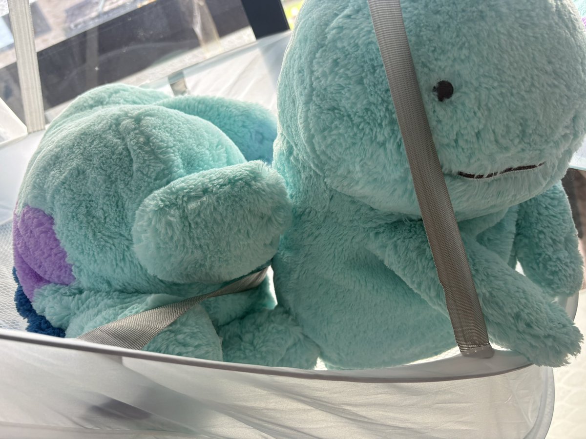 nuo_tane's tweet photo. 暇だぬもう3日も宙吊りだぬ
早くここからだしてぬ https://t.co/VAFy6k7zI0