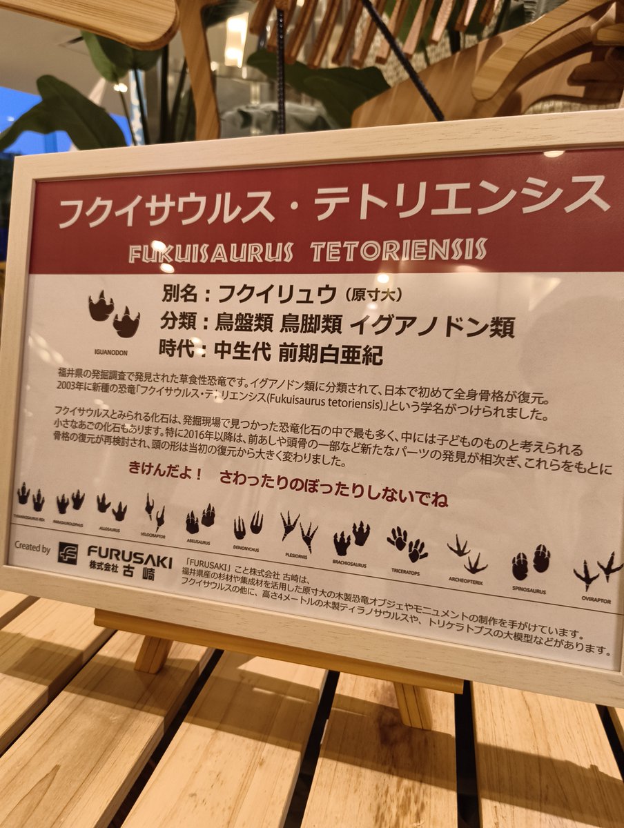 fujitafukui's tweet photo. OSHIRASEフジタ📢

フクイサウルス・テトリエンシス🦖
ホテル1Fで一緒に写真撮影できますよー🤳

📞0776-27-8811（代表）
📱https://t.co/fAWFfVjTab

#ホテルフジタ福井
#OSHIRASEフジタ
#福井県立恐竜博物館 #フクイリュウ
#全身骨格 #化石 #発掘
#WHG #ホテルグレイスリー #ワシントンホテル https://t.co/hnQF8OR4Rh