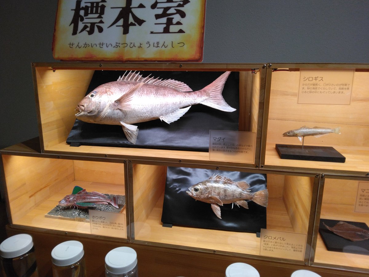 uoya_tennendo's tweet photo. 今月31日までふなばし三番瀬環境学習館で開催されています夏の特別展、「#海を食べる」では天然堂の作品が多数展示！
販売イベントでは見られない大型作品もご覧いただけます。
夏休みの思い出の1ページに加えませんか？
#ふなばし三番瀬海浜公園
#ふなばし三番瀬環境学習館 https://t.co/oSjFwDZYDm https://t.co/jvszfN0rcI