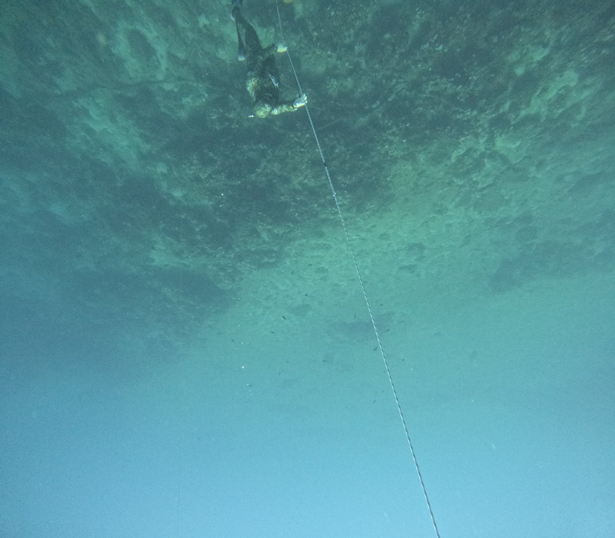 Freedive_Lamia's tweet photo. https://t.co/Pafdru4pxy https://t.co/U8A4PkAJ38
