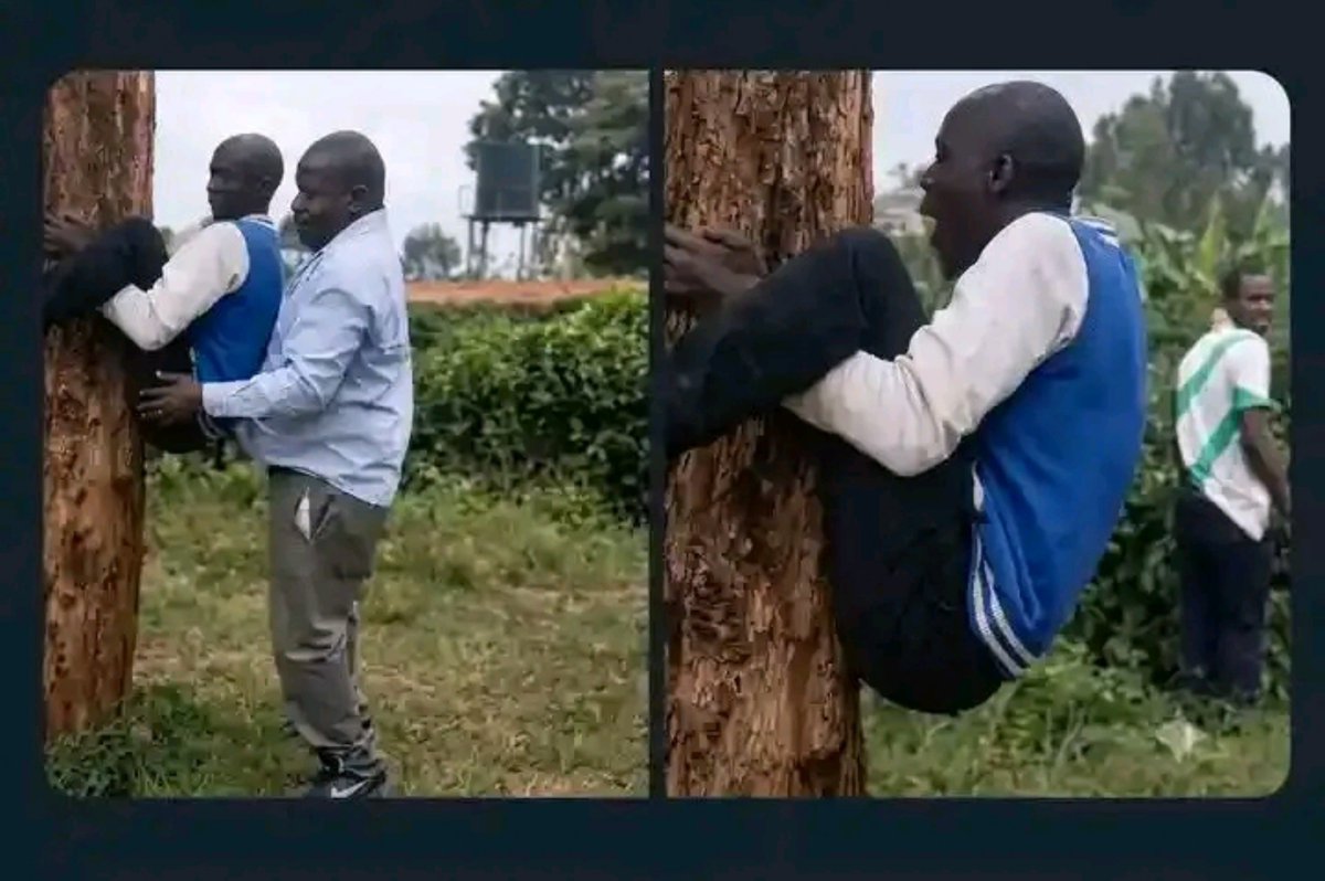 theodore_tbg's tweet photo. African parents leaving you on your own immediately after graduation 😅 https://t.co/lqvbziX9gZ