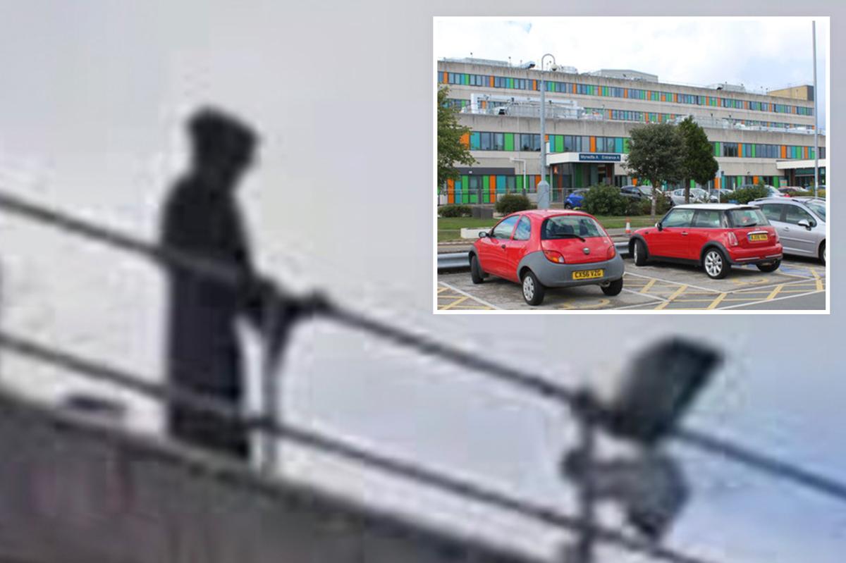 nypost's tweet photo. Ghoul dressed as 'Grim Reaper' busted for staring at patients, doctors from hospital roof https://t.co/L1cPjLJ9Jk https://t.co/7ieejT2HMz