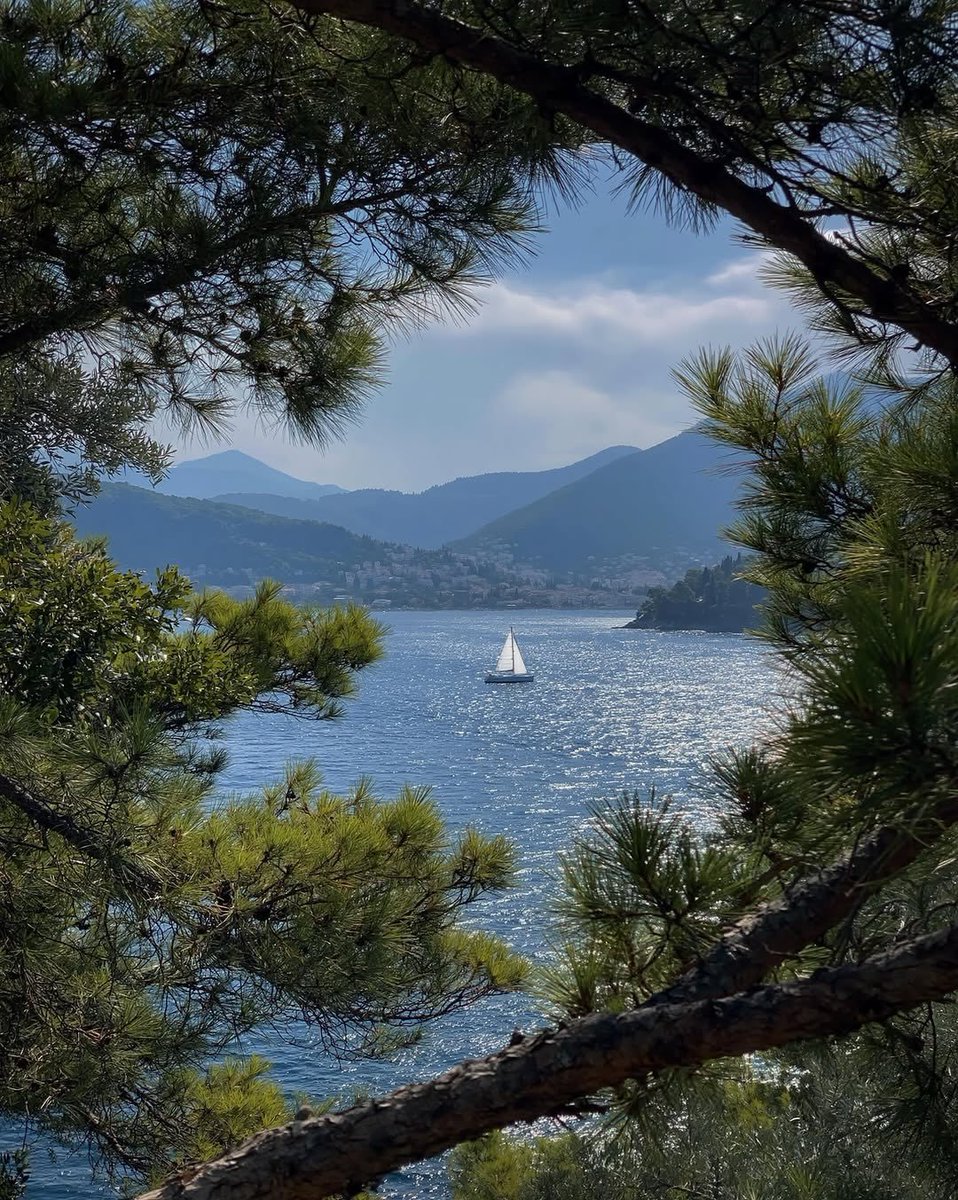 cozyycabin's tweet photo. sea view https://t.co/H9ll7LXxMH
