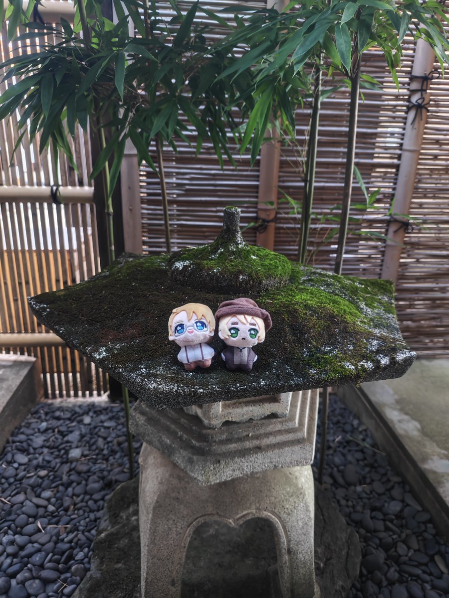 mayuger108's tweet photo. べいえいおー‼️ https://t.co/BtikXIEhXc