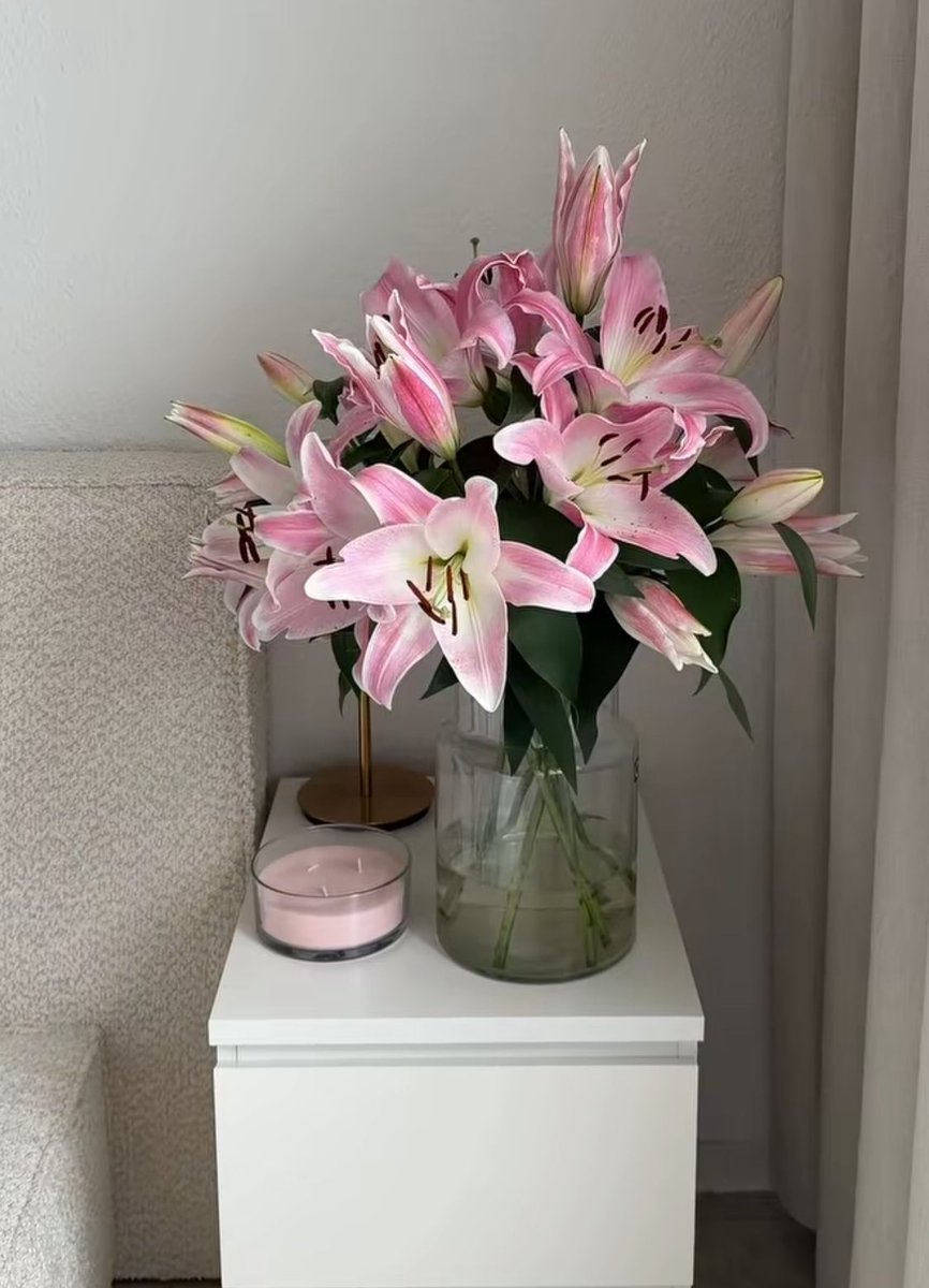PicGreen's tweet photo. 𝒫𝒾𝓃𝓀 𝐿𝒾𝓁𝓎 🌸🌱 https://t.co/yd3PgOqfGF