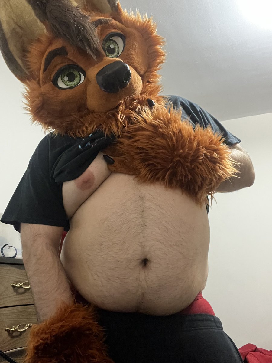 FoxDublith's tweet photo. I’ll be in San Francisco for a week to see friends and family again, but here’s a fox belly. 😊 https://t.co/4ZaC0lFkpx
