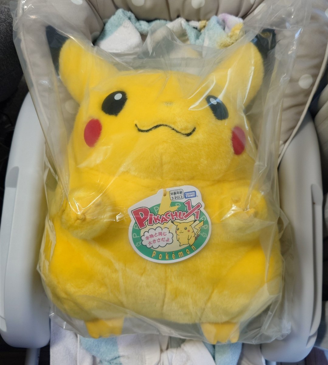 7mina45's tweet photo. ピカチュウ来たよ⚡️ https://t.co/SRIC7Zx9oW