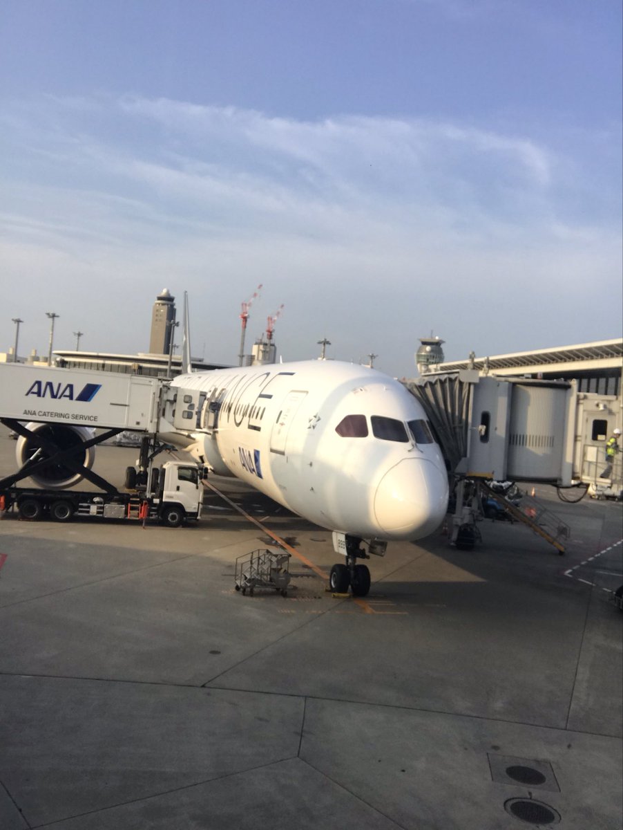 yuu0806taa's tweet photo. タイに行く時の飛行機スターアライヤンス塗装でバリ嬉しい https://t.co/pVFYc1Mob0