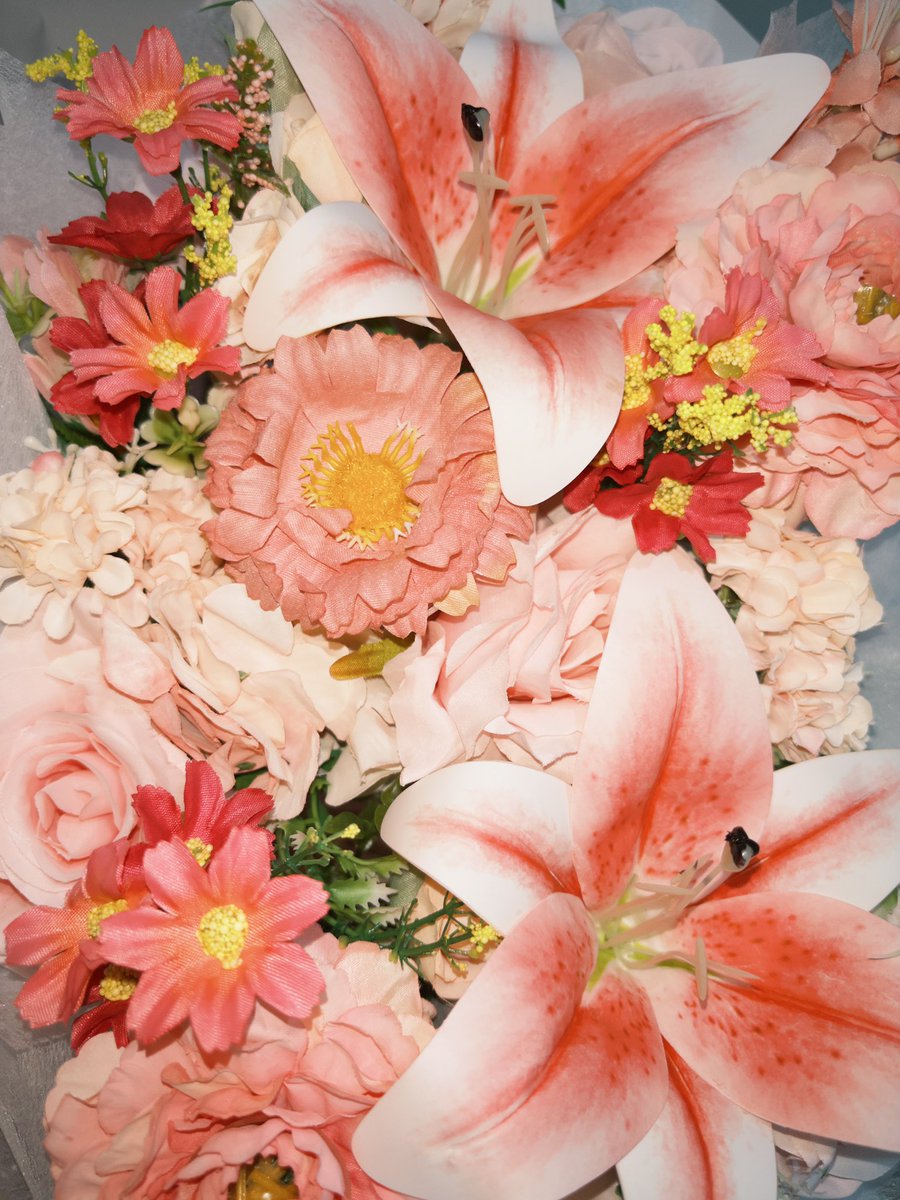 rosemoires tweet picture