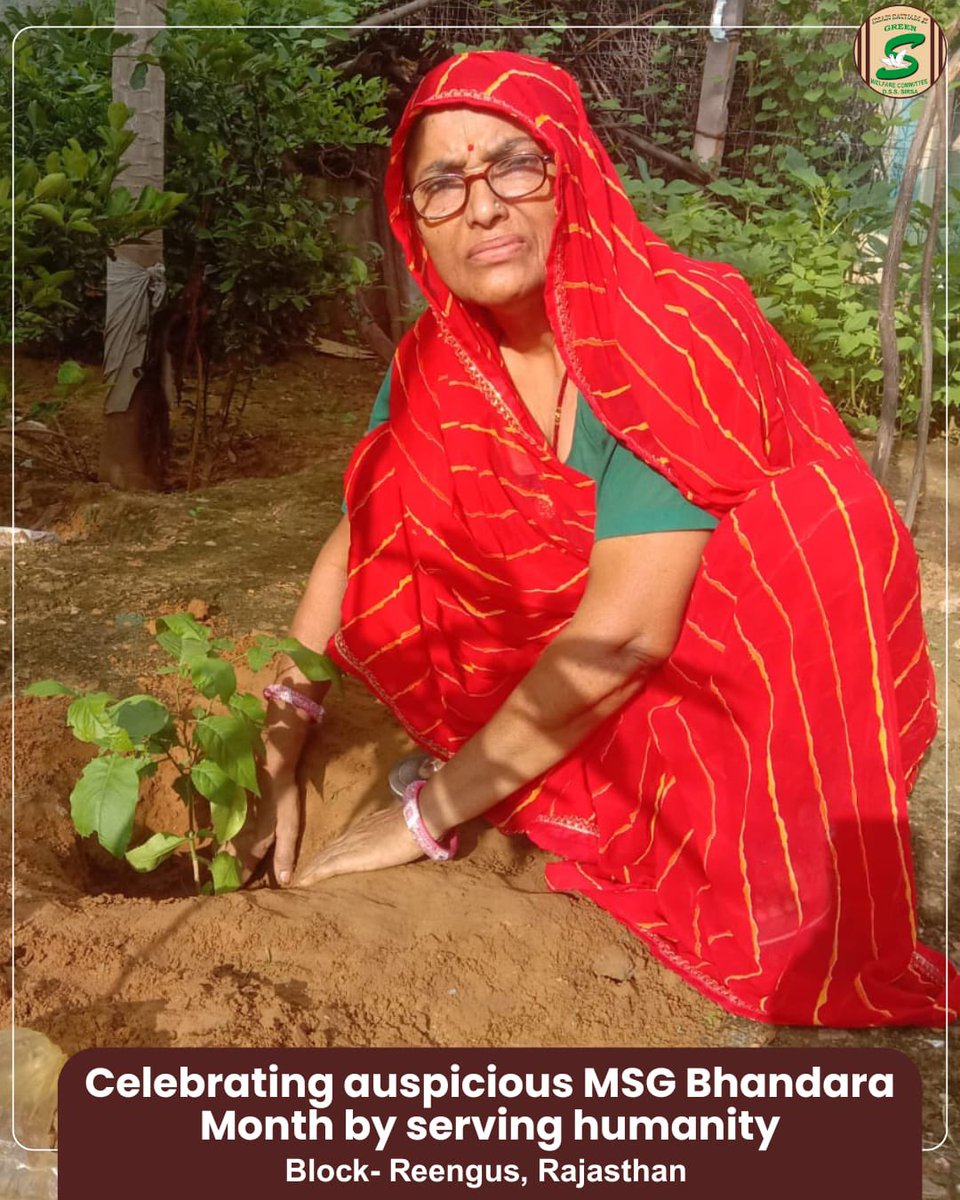 GreenSwelfares's tweet photo. Celebrating the auspicious MSG Bhandara Month through meaningful service—providing ration to needy families and planting a sapling for a greener future. 

One act brings relief today, while the other protects tomorrow.

#MSGBhandaraMonth #RationDistribution #TreePlantation #HelpingTheNeedy #ServingHumanity