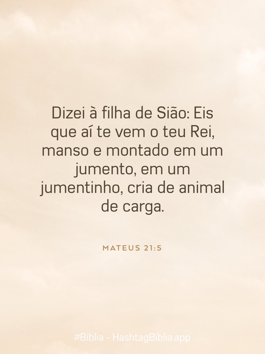 JoseMagazoni's tweet photo. #Biblia https://t.co/Qf8JC2j1cA https://t.co/64T5fjokzB