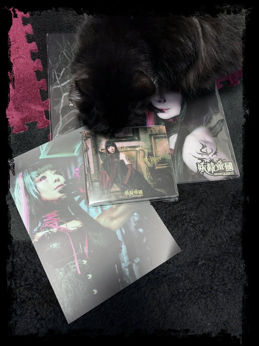 yui_fairithm's tweet photo. いよいよ8/10より順次発送開始！！

お盆期間を挟むため、10日の週に届く者もいれば、月末近くになる者もいるようだ

過ぎゆく夏を噛み締めながらゆるりとまたれい🤘🏻

早速私の元に届いたものたち

「CD」
「ヴァヰナル（LP）」
「抄録紀
・ゆい殿下撮り下ろし寫眞
・特催公式式典“Once Marked, Recast: Stigma”ライブ寫眞
・制作陣インタビュー
・stigma回顧録～橘元大尉インタビュー」