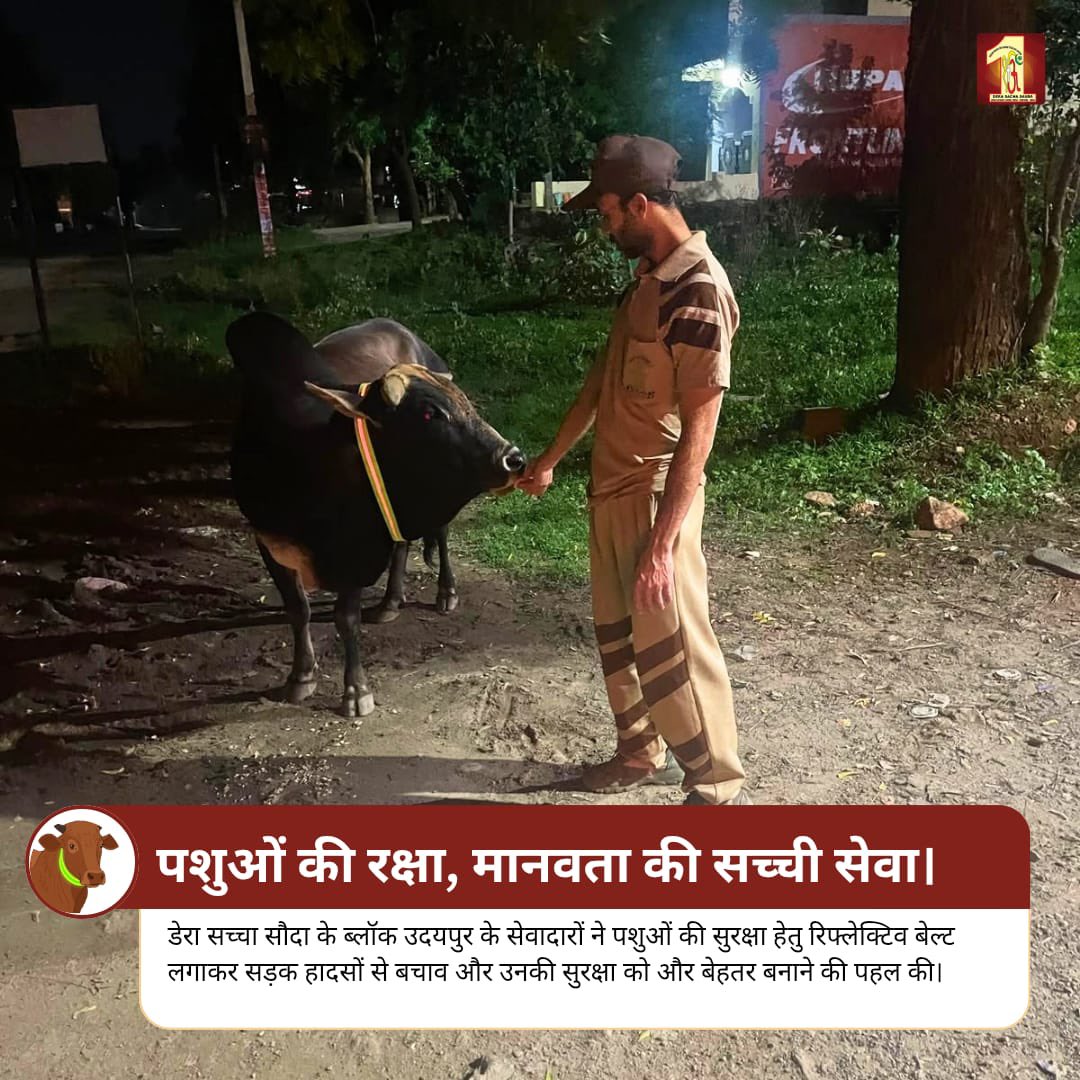 DSSNewsUpdates's tweet photo. रात के अंधेरे में सड़क पर घूमते बेजुबान पशु कई बार हादसों का शिकार हो जाते हैं। 

उदयपुर, राजस्थान के डेरा सच्चा सौदा सेवादारों ने पशुओं की सुरक्षा के लिए उनके गले में रिफ्लेक्टिव बेल्ट लगाई, ताकि वाहन चालकों को वे दूर से दिखाई दें और सड़क हादसों से बचाव हो सके।

बेजुबानों की रक्षा करना भी मानवता की सच्ची सेवा है।
एक छोटी-सी पहल, कई अनमोल जीवन बचा सकती है।

#AnimalSafety #RoadSafety #SaveAnimals #StrayAnimalCare #DeraSachaSauda #HumanityFirst #ServingHumanity #AnimalWelfare