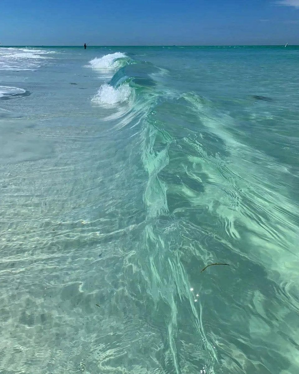 MonicaDrie's tweet photo. 🌊 https://t.co/Z8Q4MtL9Lr