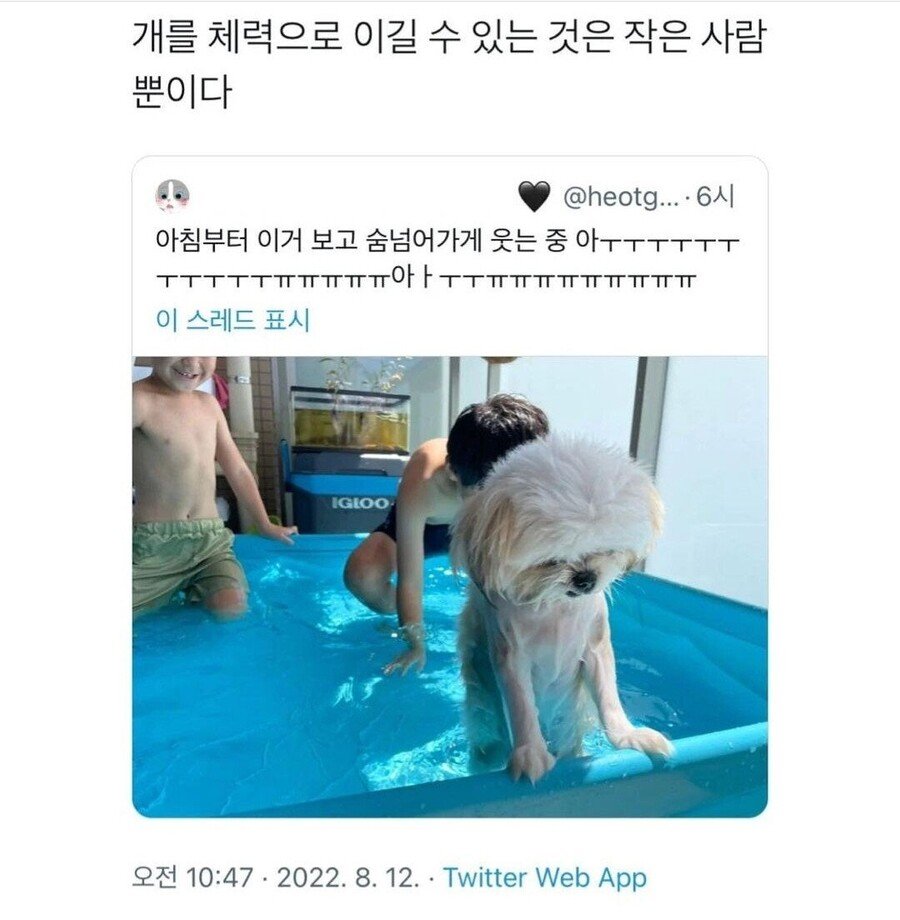 PLY_7789's tweet photo. 상태 :
다만 제가 개일 뿐입니다 https://t.co/z9uqBI09r5