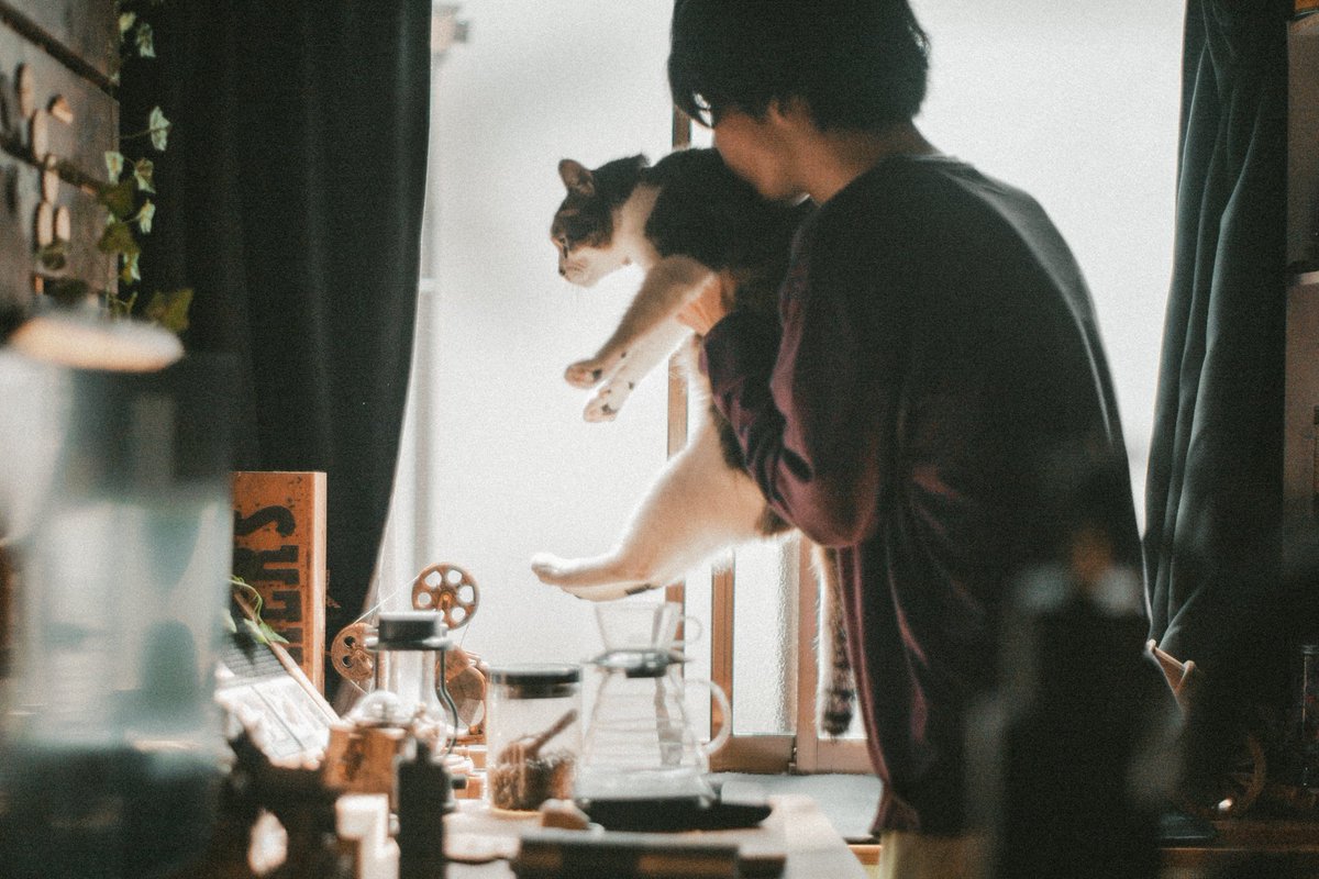 Yuki910828's tweet photo. 珈琲と猫 暮らしの写真 https://t.co/Jn4eBsoco3