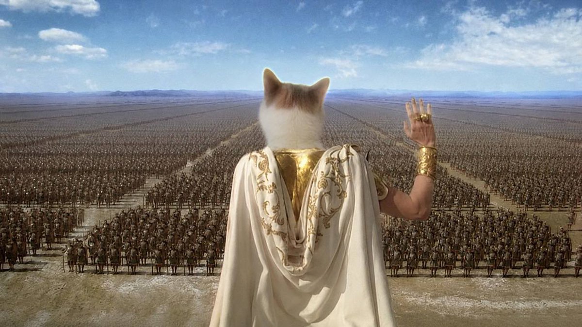 cetsolanameme's tweet photo. cet army is ready https://t.co/XALBW27FZK