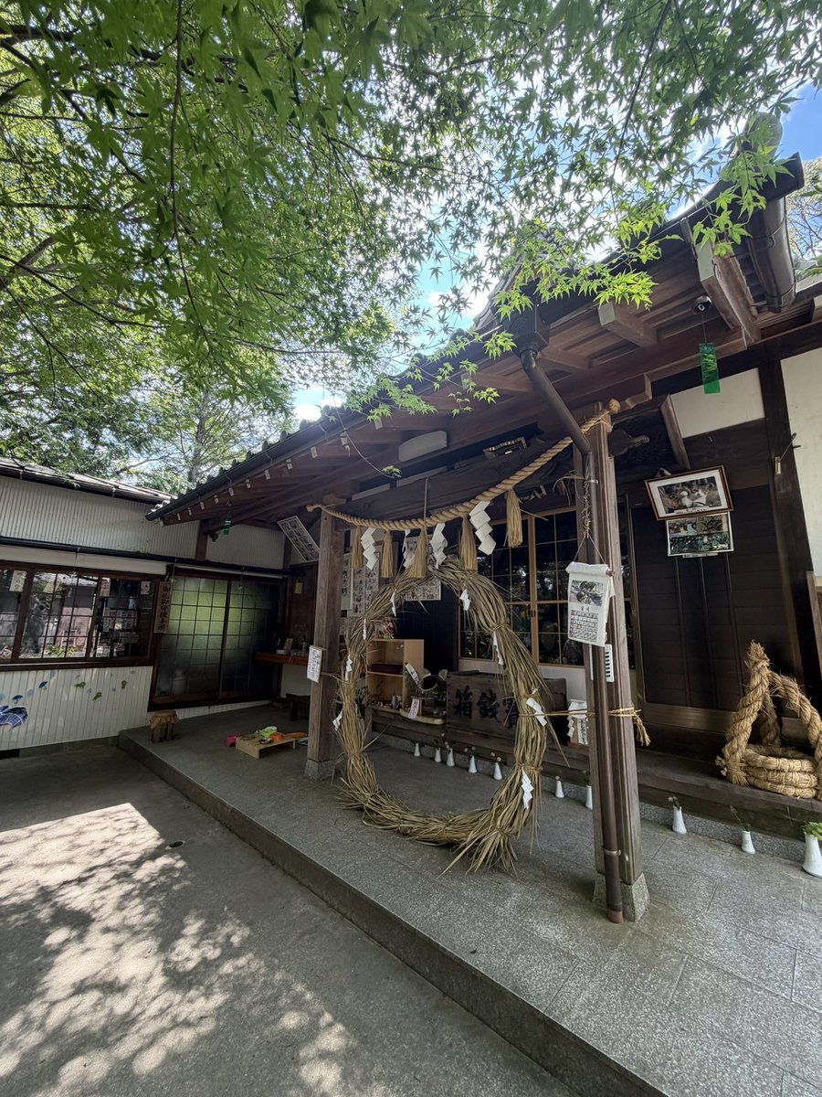 renaaaaaO7's tweet photo. いっこ食べかけあって申し訳だけど名古屋楽しいだいすき！！ https://t.co/1p2AIU9aQo