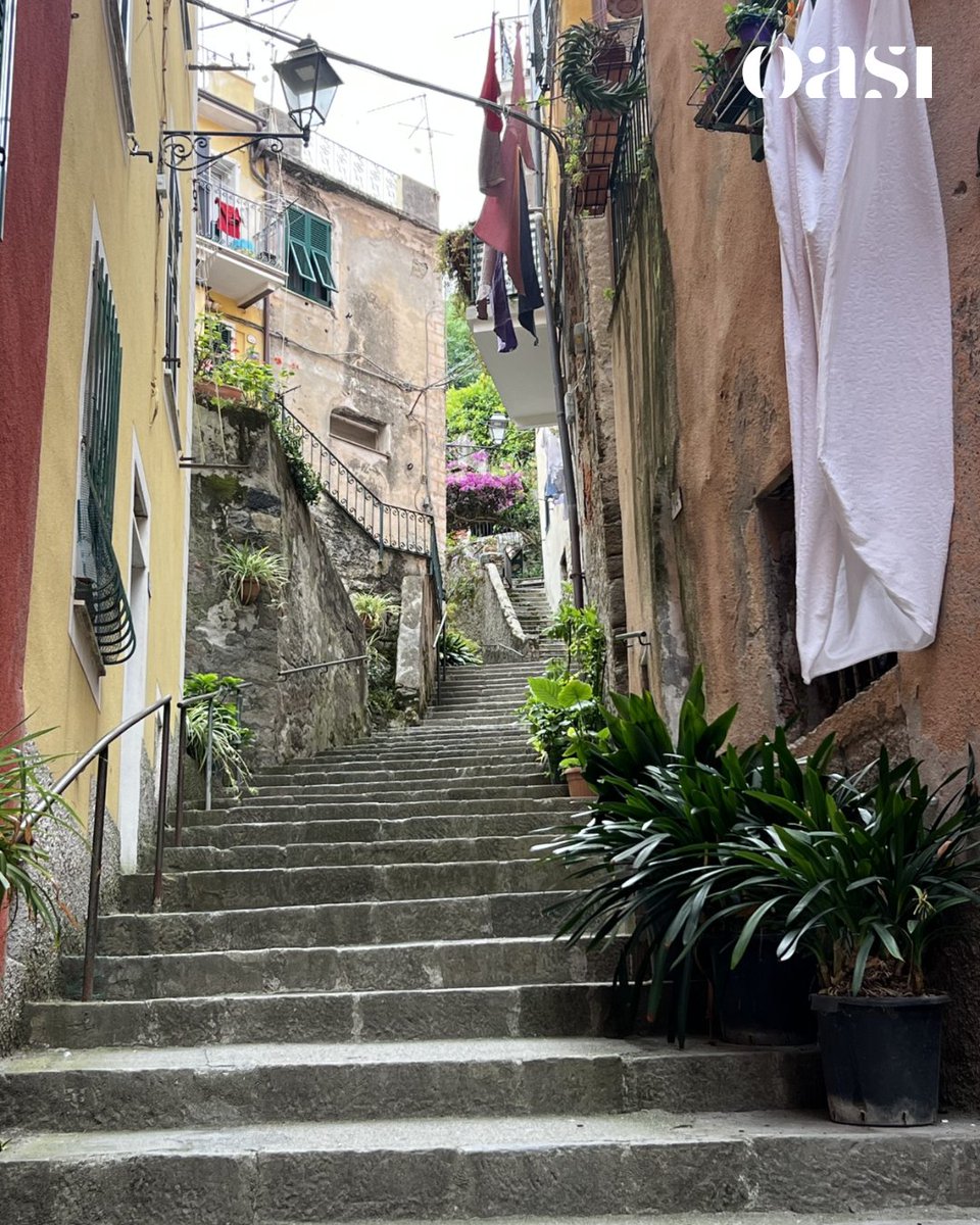 OasiHotel's tweet photo. A great trip deserves great memories.
That's why we've partnered with @5terrex. Our guests enjoy exclusive discounts on authentic local experiences.
Discover more:
 https://t.co/Ed7hzBNH05

#CinqueTerre #Levanto #SlowTravel #ItalianRiviera https://t.co/rOwLobxkHl