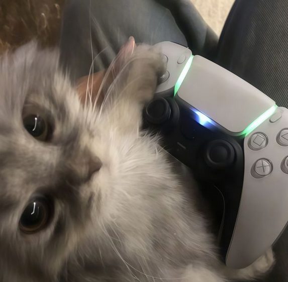 Simoes_Gamer's tweet photo. I accidentally put salt in my coffee this morning and it ruined everything

Listening to gospel and this is my whole personality now https://t.co/GLMZlrX44P