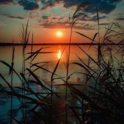 BastosWesterman's tweet photo. The universe responds to the clarity of your inner commitment.   🍀 🚀 https://t.co/Ehac5G90sO