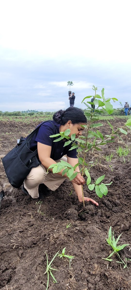 EdenE98991's tweet photo. #Greenlegacy 🌱
#አረንጓዴአሻራ
#Cop32 https://t.co/SSEDSLyWxu