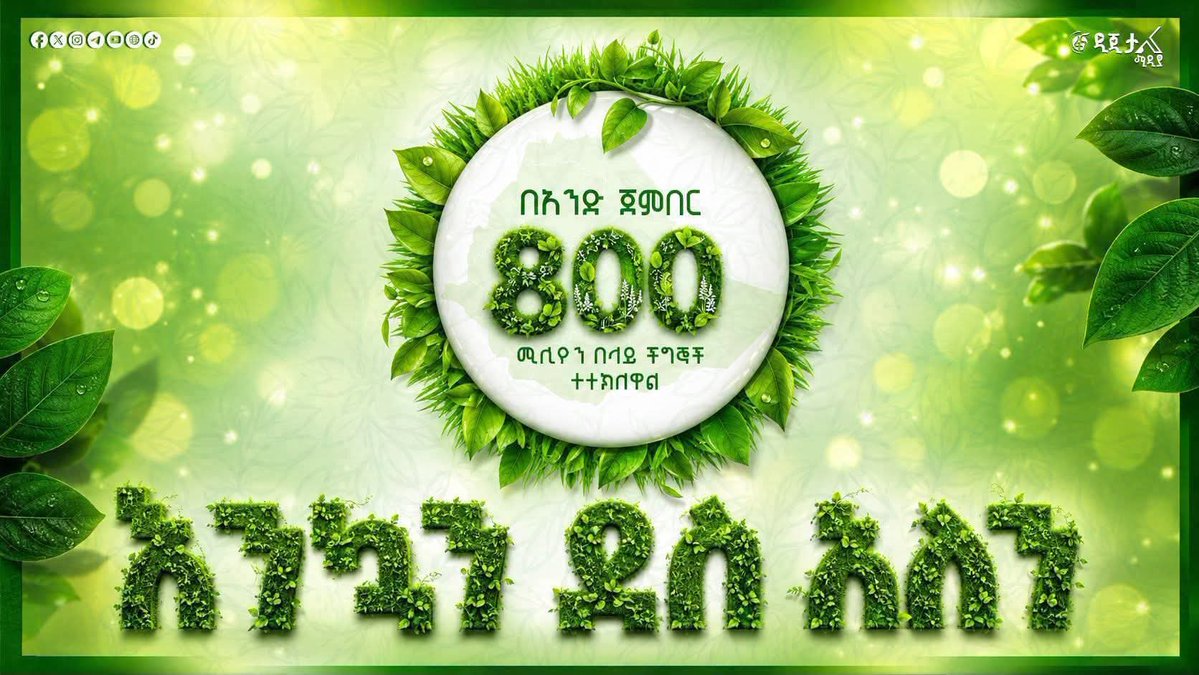 EdenE98991's tweet photo. #Greenlegacy 🌱
#አረንጓዴአሻራ
#Cop32 https://t.co/SSEDSLyWxu