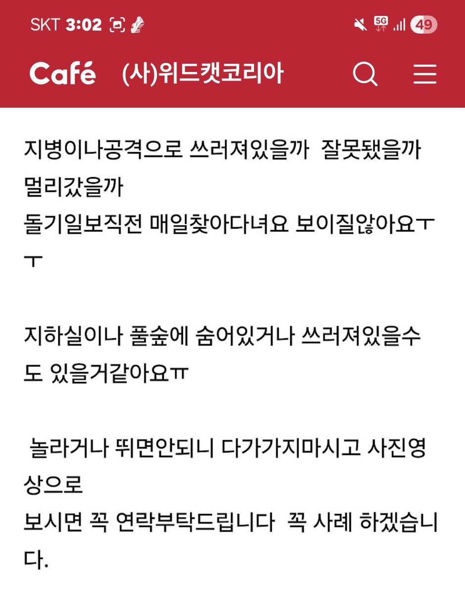 ses6033's tweet photo. 카페에 올라온글입니다~!!
지병이 있다고 합니다!!
부디 집사 품에 돌아가도록 도와주세요

고양이를 찾습니다 청주금천 동뉴타운아파트+하은베스트 빌아파트+참예수교회뒷계단 돌담 주위빌라 그일대 더멀 리있을수도있어요 https://t.co/QNQ9og3CnB