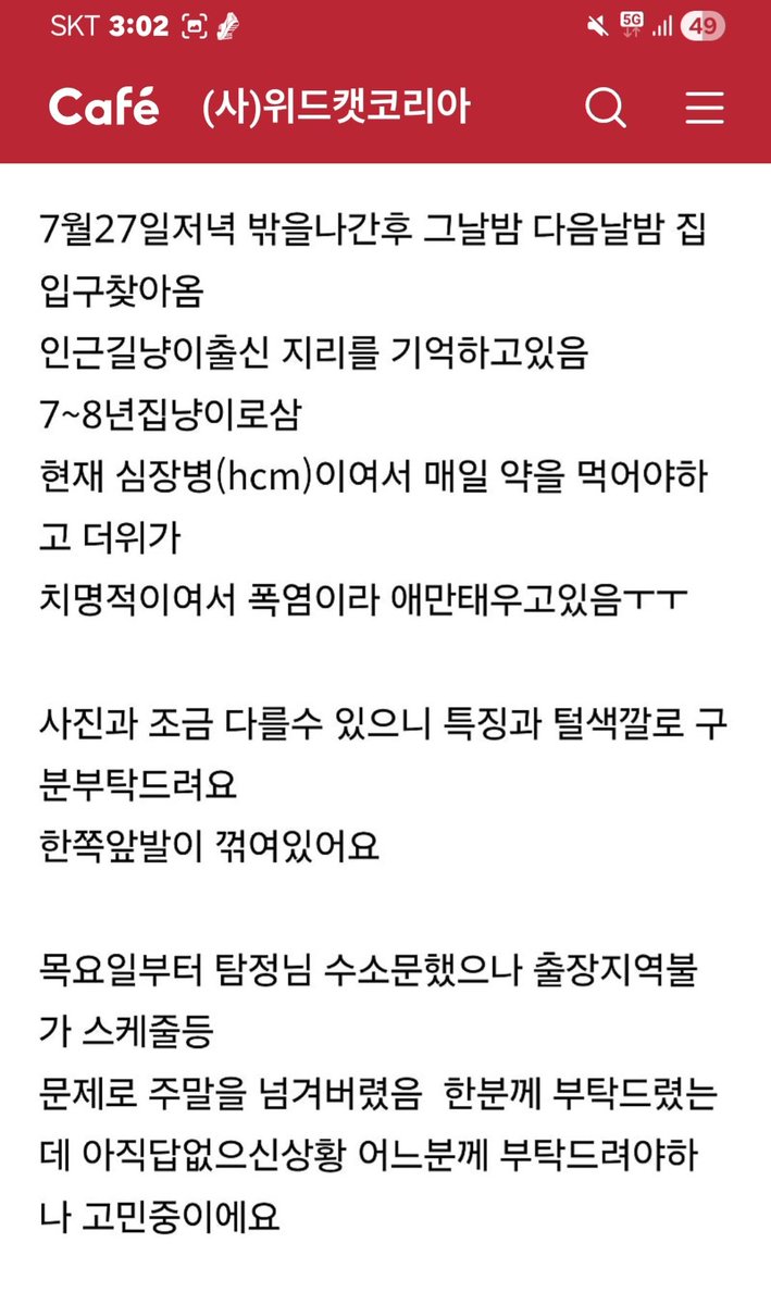 ses6033's tweet photo. 카페에 올라온글입니다~!!
지병이 있다고 합니다!!
부디 집사 품에 돌아가도록 도와주세요

고양이를 찾습니다 청주금천 동뉴타운아파트+하은베스트 빌아파트+참예수교회뒷계단 돌담 주위빌라 그일대 더멀 리있을수도있어요 https://t.co/QNQ9og3CnB