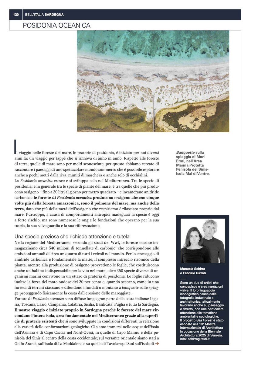 schirragiraldi's tweet photo. the art SEA FOREST on Bell'Italia – june issue https://t.co/pnOZKSl8ys