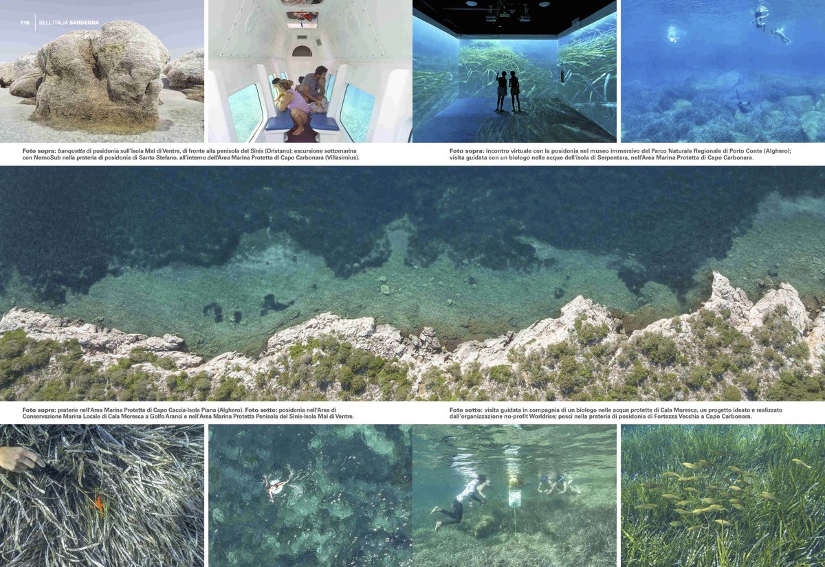 schirragiraldi's tweet photo. the art SEA FOREST on Bell'Italia – june issue https://t.co/pnOZKSl8ys