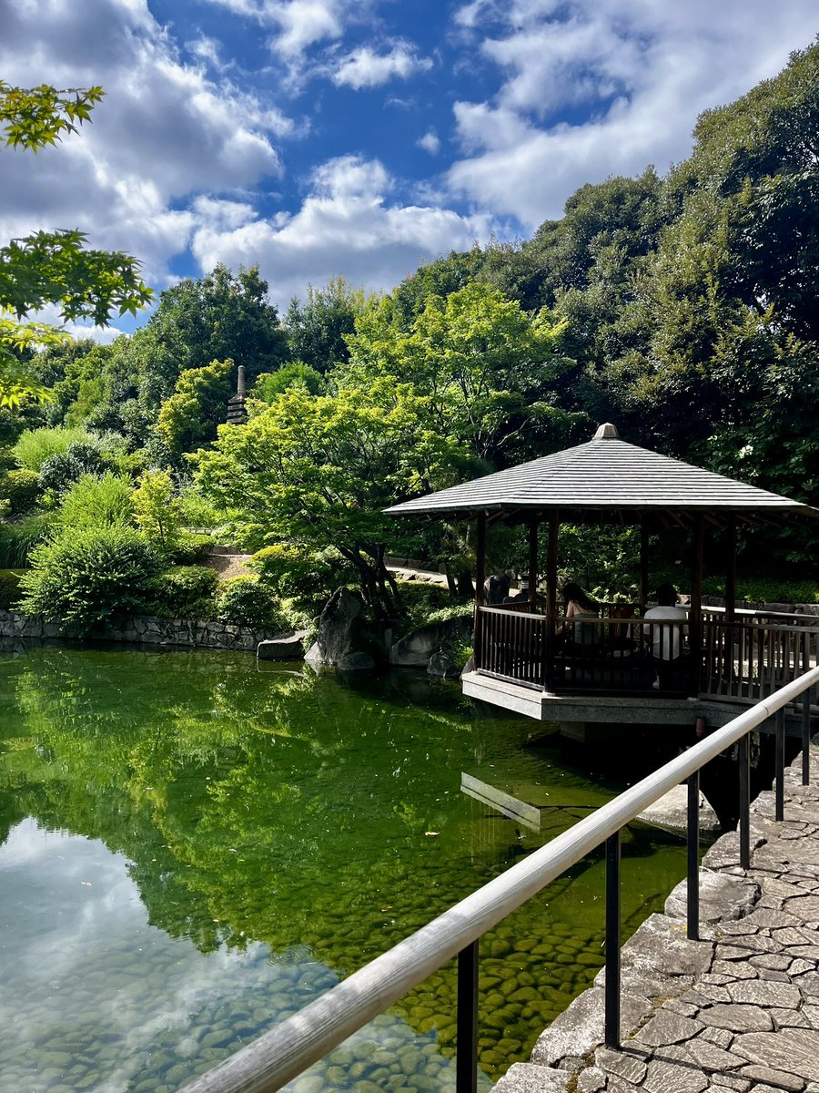 flowcoffeejp's tweet photo. 午後の目白庭園。光が水面に反射して眩しい！

17時の営業終了までにもうひと山来てほしいところ。。。いかがですか？？😉✨☕️🧇(庭園自体は19時まで空いています。)

日陰のベンチや東屋でゆっくりくつろぎながらお楽しみいただけます。 https://t.co/bvaIXtiRaX