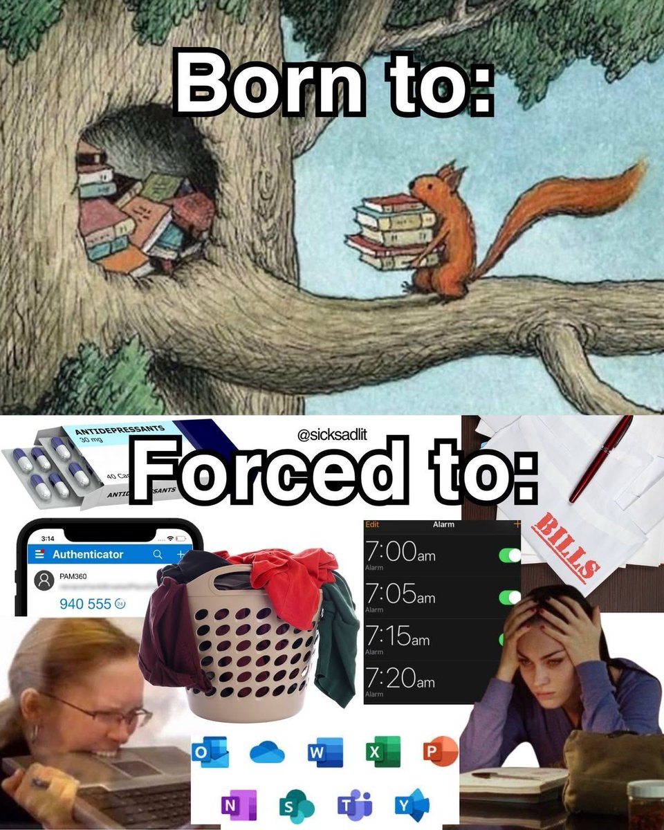ADHDForReal's tweet photo. https://t.co/IBjoZWGWFZ