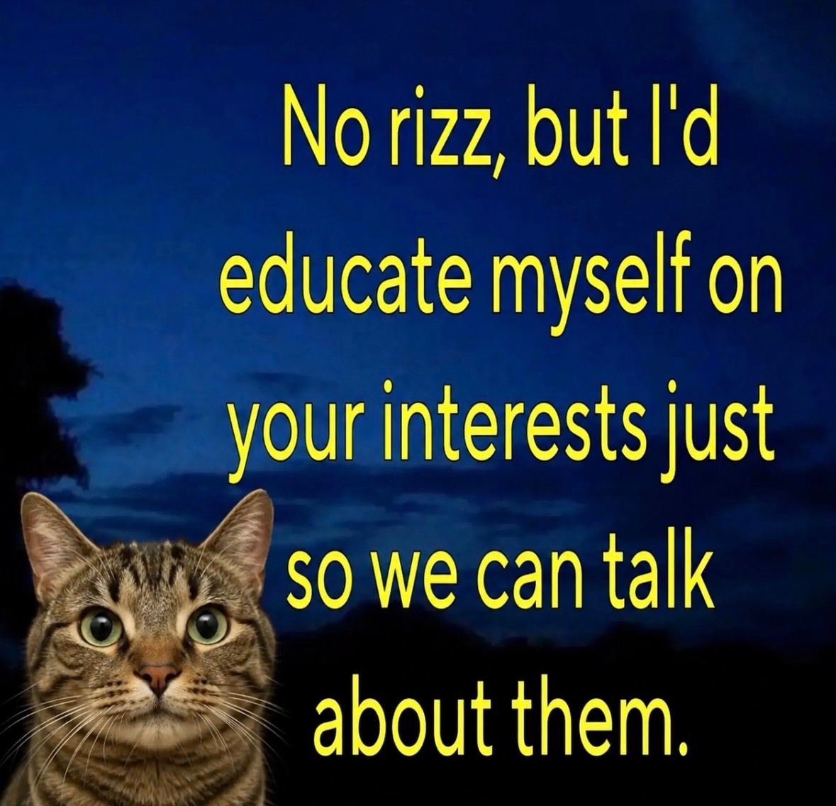 RespectfulMemes's tweet photo. https://t.co/zTKmFe5DvX
