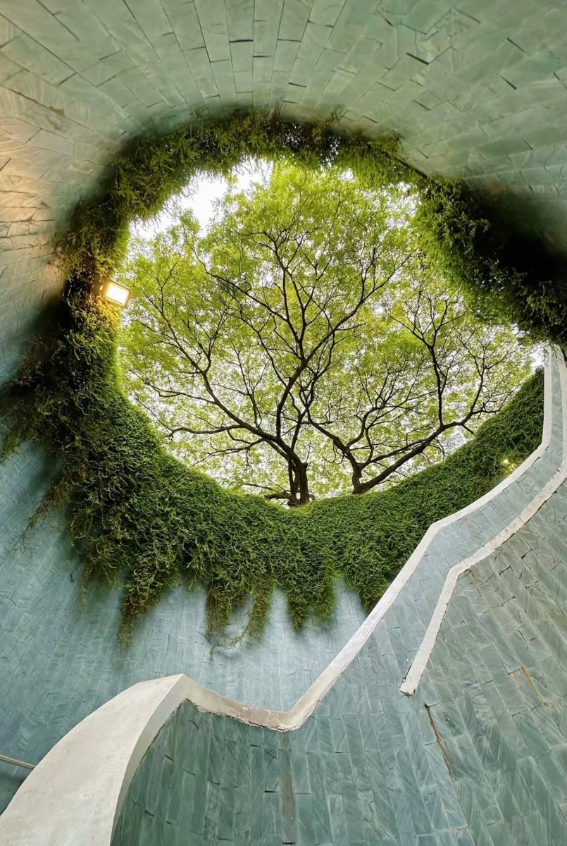 AClaireChen's tweet photo. Even in the middle of a city, there are quiet corners waiting to be discovered. The most beautiful moments are often hidden in unexpected places https://t.co/V3bx8JbWpU