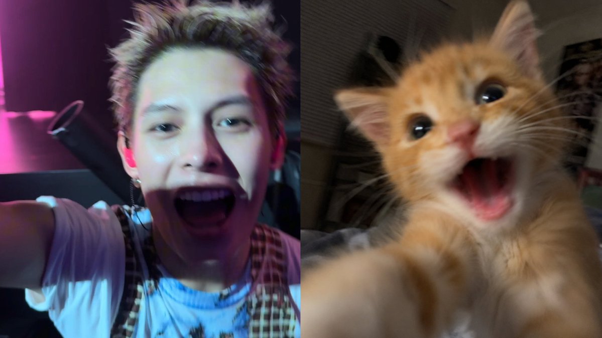 withcortis4life's tweet photo. jjami meow 🤏🏻 #james https://t.co/gwKT07CRhz
