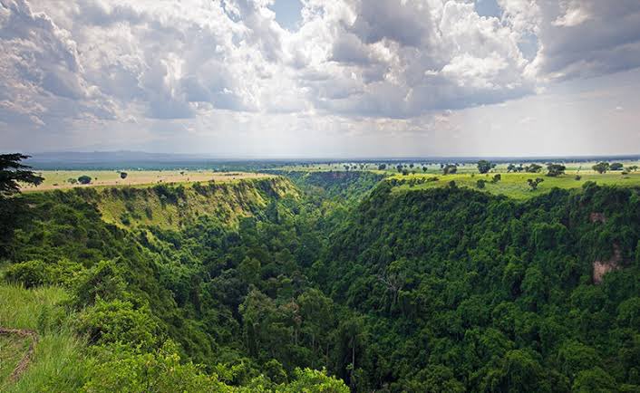 gatsiosafariz tweet picture