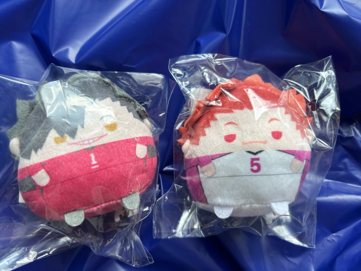 Osn_riO's tweet photo. 〖交換〗アニメイト くじメイト ハイキュー ぬいくじ ぬいくじ2

譲┊ 天童 月島 ◎黒尾 日向

求┊ C賞 松川(友人分)
        D賞 角名 松川 
        Ｅ賞 月島 角名 松川 or定価＋送料

◎は角名との交換優先

※1枚目はオンラインでの購入分となります。

郵送又は名古屋手渡しでの交換📮 https://t.co/w4LPmvqimS