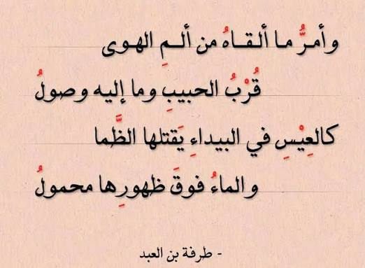 EurofinsKSA's tweet photo. الرائع في #نادي_الإبل وكل ما يقدمونه رائعاً، أنهم أبرزوا القيمة الثقافية للإبل؛ فالإبل إضافة إلى أنها ثروة حيوانية، إلا أنها مادة أدبية راقية، تساهم في رقي المشاعر وتهذيبها؛ فتطيب النفس، وترتقي الصحة النفسية. https://t.co/iAi1bwRUb5