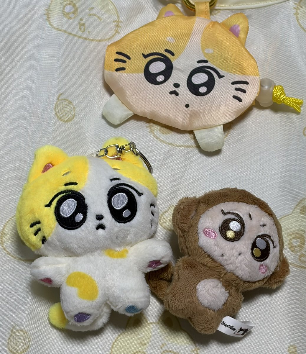 JW02929's tweet photo. 눈초롱초롱이들
넘기야븜 https://t.co/iaMIf4srNT
