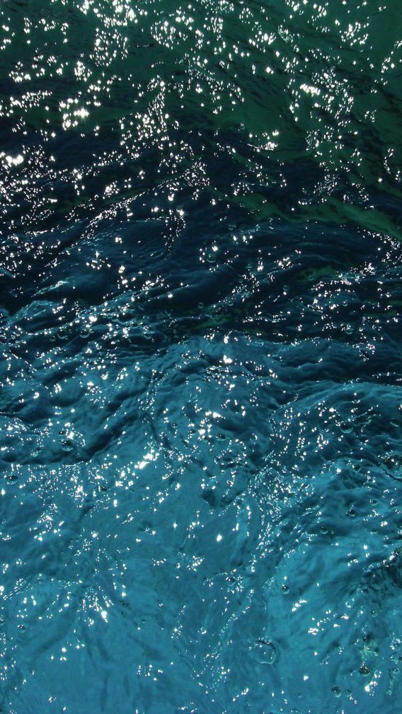 _Naturaee's tweet photo. Blue https://t.co/bM9IIeKHU3