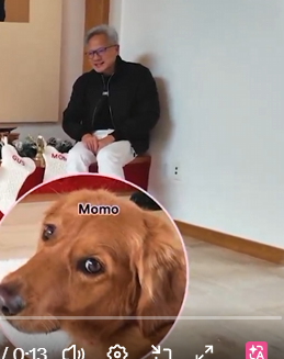 Crypto_onchain8's tweet photo. 找到了黄仁勋的狗

Momo

自己看 所有发的角度都保真 https://t.co/Q513DHzt0j