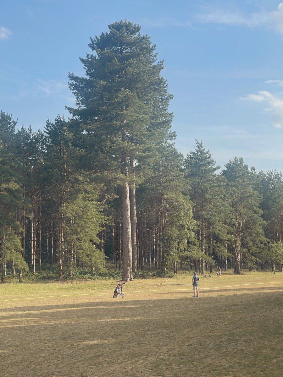 iNeedaCaddy's tweet photo. Name the course 126 #Top200Golf #Golf #GolfCourseArchitecture #GolfTwitter https://t.co/4jJsBNXmme