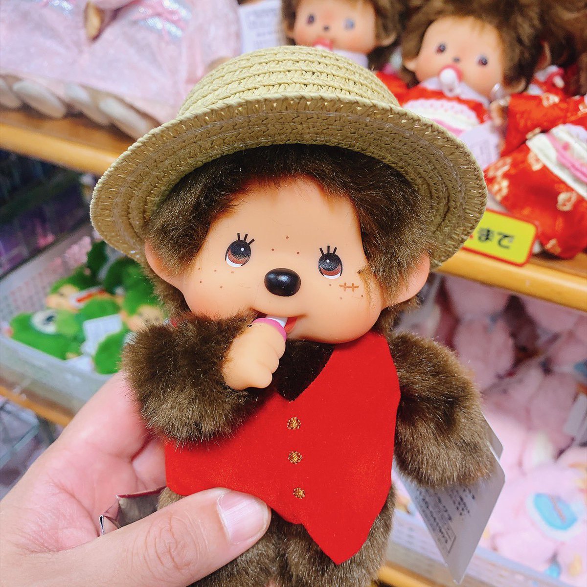 wazmikazuki0510's tweet photo. #WAZMINQUEST #ぬいチャレ
ルフィモンチッチという
おにきゃわな子がいたのだが
値段がかわいくなかた🏄♂️ https://t.co/8cYiga5nwj