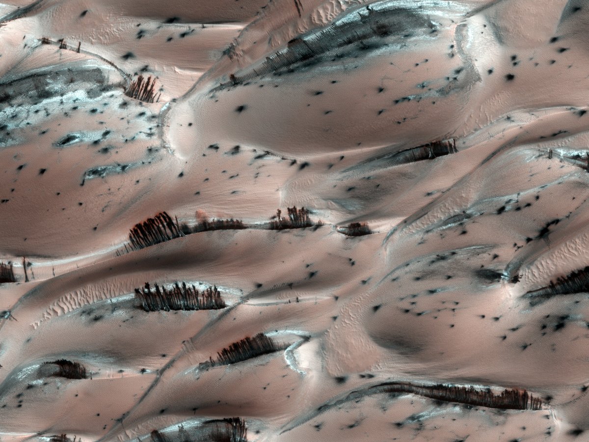 FansOfAPOD's tweet photo. They might look like trees on Mars, but they're not. Groups of dark brown streaks have been photographed by th
See more: https://t.co/vVpy0k3I3m https://t.co/tjefXJtn48